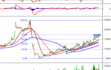 21/09/2021: MÃ TVC VẪN CÓ XU HƯỚNG TĂNG BẤT CHẤP THỊ TRƯỜNG “ĐỎ LỬA”